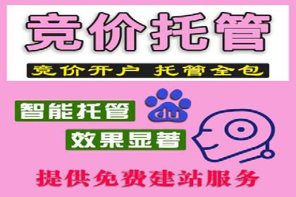 案例展示：SEM托管服务助力企业快速拓展市场